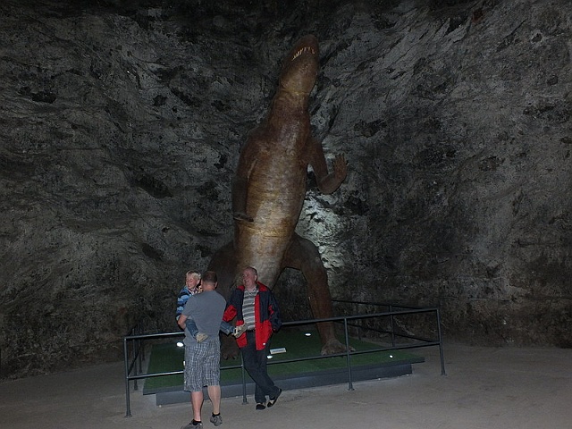 Bild (47)